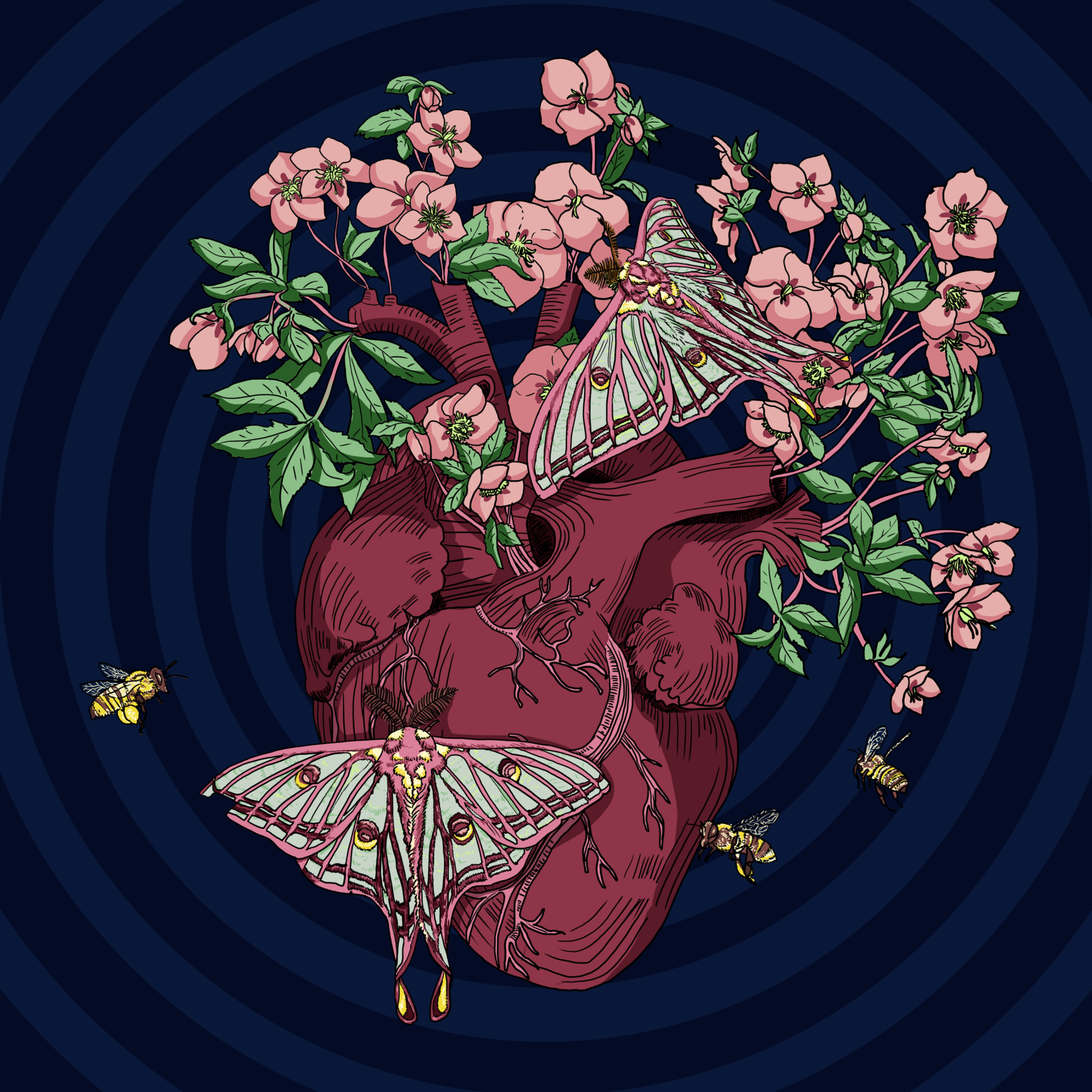 LANCEMENT DE THEMIAS MÉMOIRES ET ACTION SOCIALE 2