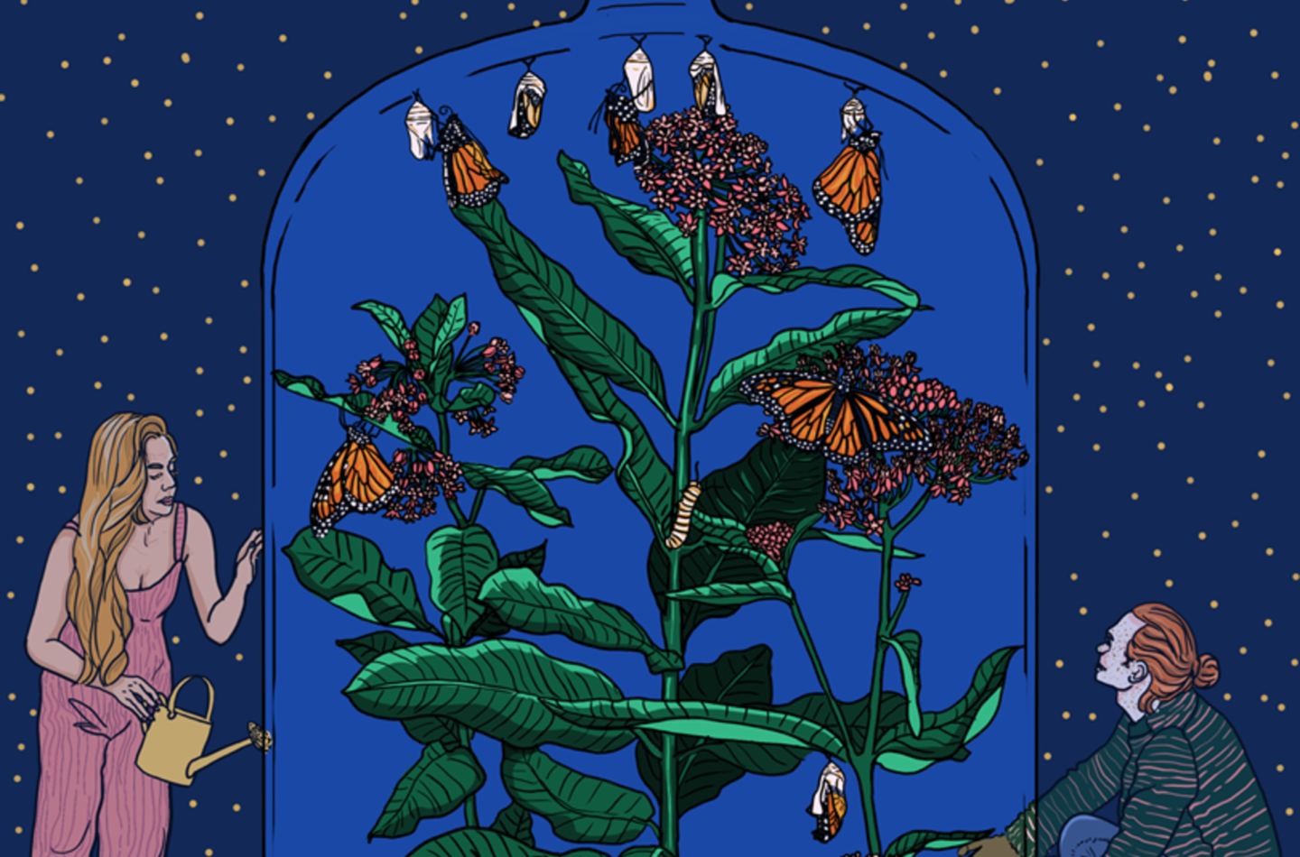 LANCEMENT DE THEMIAS MÉMOIRES ET ACTION SOCIALE 1