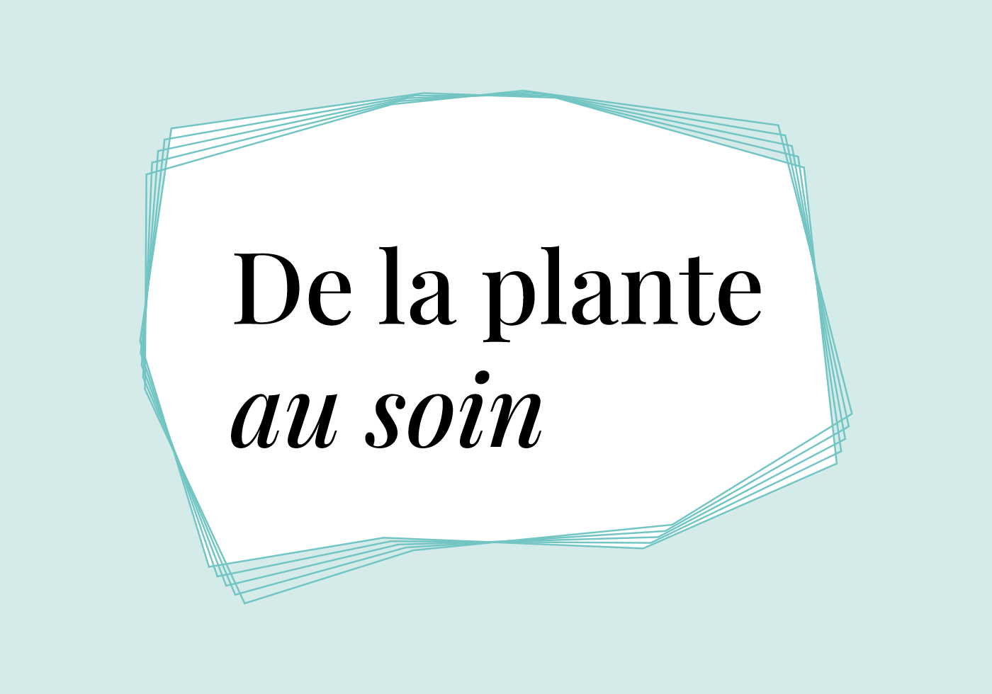 Plante 1400x980