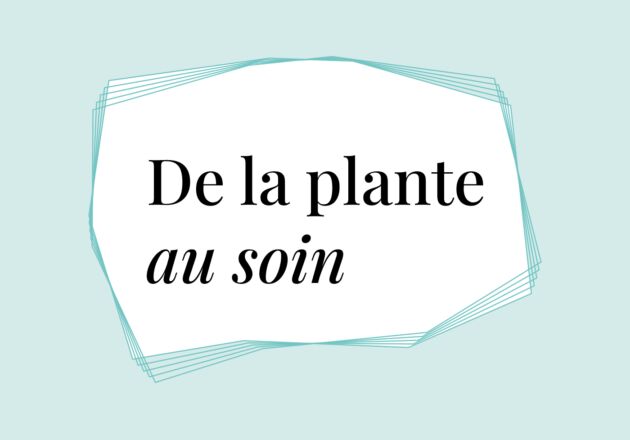 Plante 1400x980