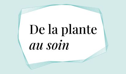 Plante 1400x980