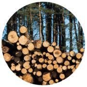 Rond Mididela Recherche R Ea L Lab Economieforestiere