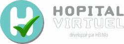 Logo hopital virtuel horizontal