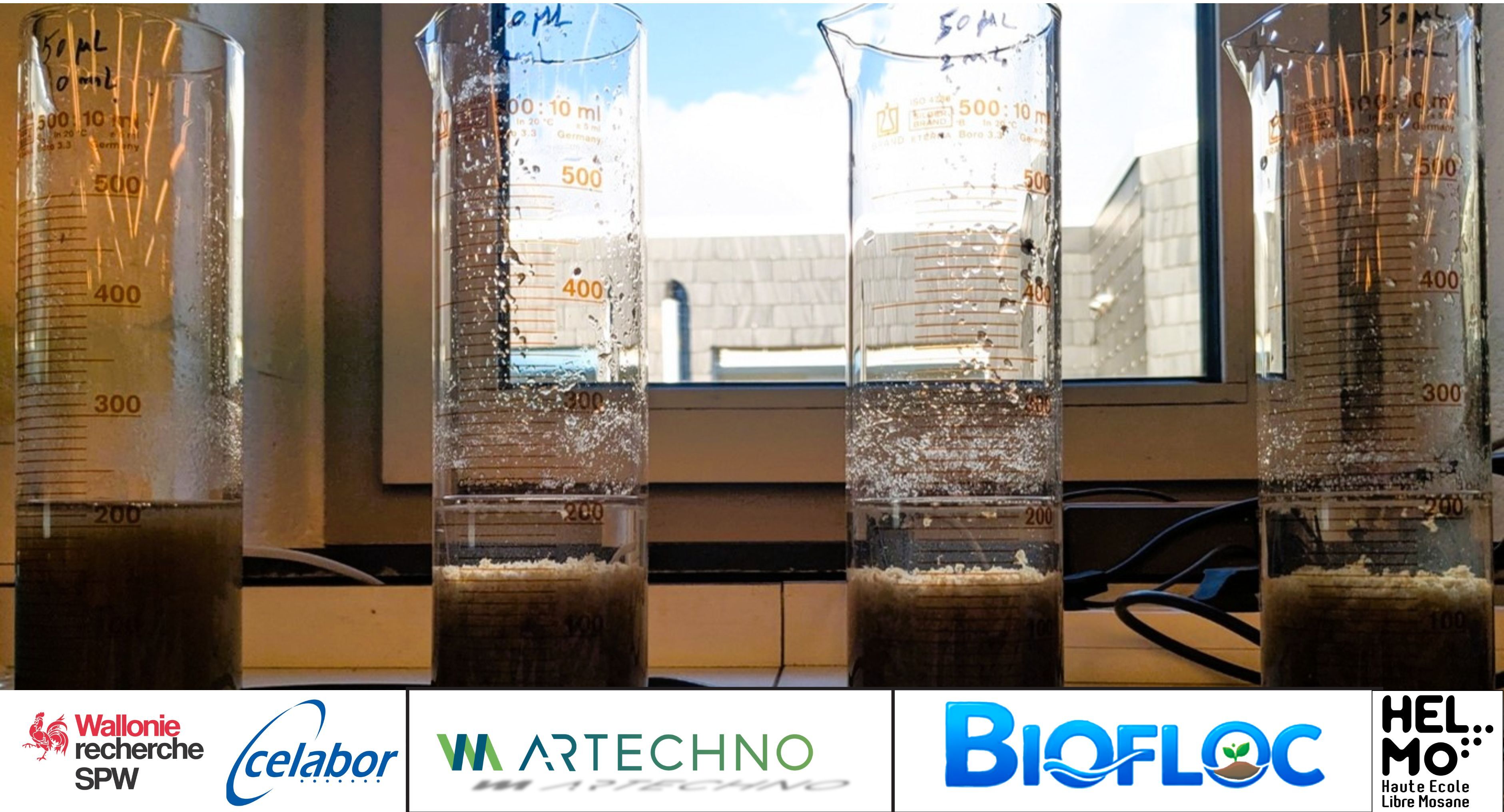 Photo BIOFLOC 0626