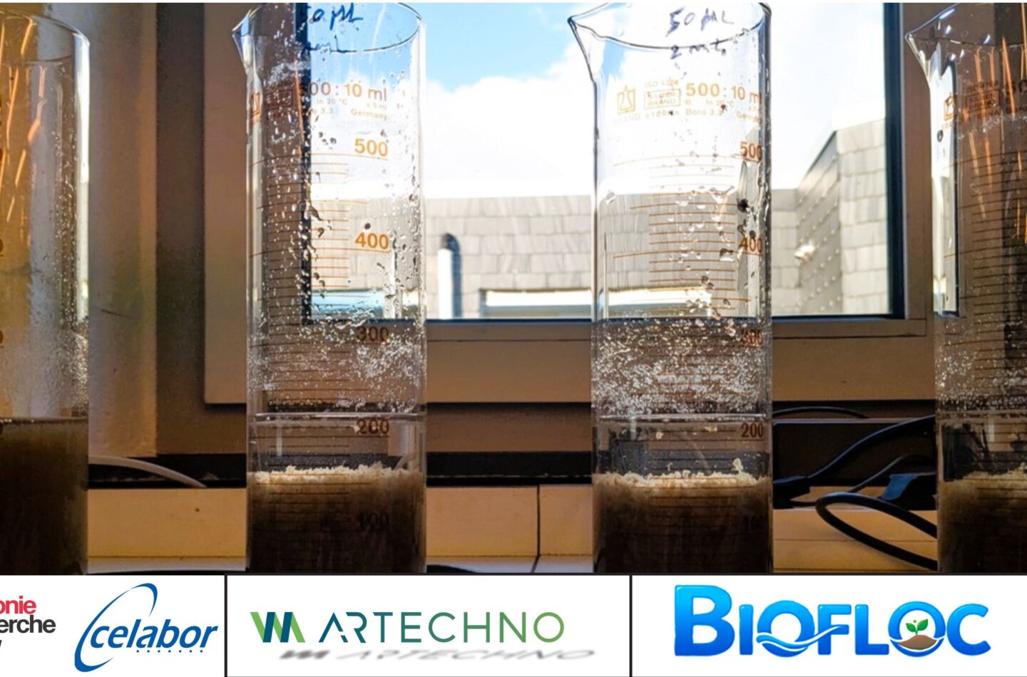 Photo BIOFLOC 0626
