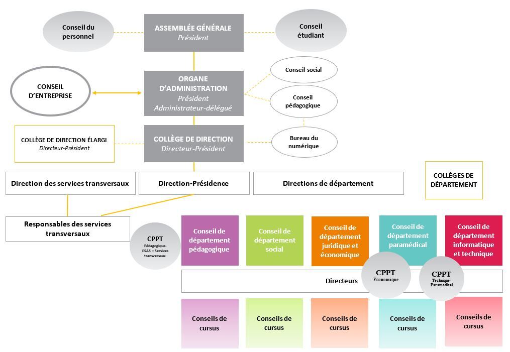 HEL Mo organigramme haute ecole
