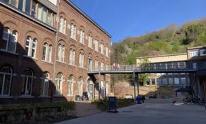 IMG 0781